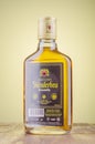 Bottle of original albanian brandy Skenderbeu on gradient background. Royalty Free Stock Photo