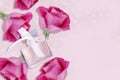 Bottle of parfum and rose flowers on pink background Royalty Free Stock Photo