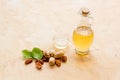 Bottle of pecan oil with nuts on the table, close up Royalty Free Stock Photo