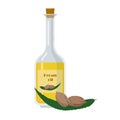 Bottle with pecan oil with seeds and leaf. Royalty Free Stock Photo