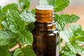 A bottle of peppermint essential oil with peppermint twigs Royalty Free Stock Photo