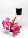 Bottle of perfume and adenium flower isolated Royalty Free Stock Photo