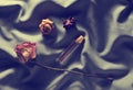 Bottle of perfume and buds of dried roses on a gray silk backg Royalty Free Stock Photo