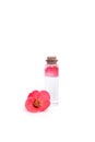 A bottle of perfume or cosmetic gel and red flower isolated on white background Royalty Free Stock Photo