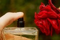 Bottle of perfume and finger of a red rose bud Royalty Free Stock Photo