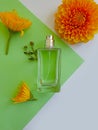 Bottle perfume flower on a colored background aromatic