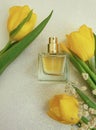Bottle perfume flower fresh tulip on colored background glamor