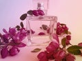 Bottle with perfume, flowers on a colored background