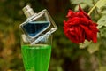 Bottle of perfume in a glass with a drink near the red rose Royalty Free Stock Photo