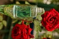 Bottle of perfume in a glass near red roses Royalty Free Stock Photo