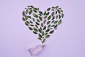 Bottle of perfume and Green leaves arranged in heart shape over violet background. Spring or summer gentle fragrance for women. Royalty Free Stock Photo