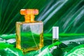 A bottle of perfume and natural perfume on a leafy background Royalty Free Stock Photo