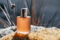 A bottle of perfume is sitting on a patch of grass Royalty Free Stock Photo