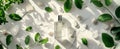 Bottle of Perfume Surrounded by Leaves and Rocks Royalty Free Stock Photo