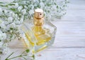 Bottle perfume trend wooden blossom designfashion atomizer aromatic flora on a colored background product scented fragrance