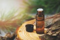 Bottle with pine bark extract Royalty Free Stock Photo