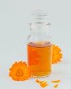 A bottle of pot marigold tincture or infusion with fresh Calendula flowers on white background. Natural herbal alternative Royalty Free Stock Photo