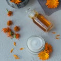 A bottle of pot marigold tincture or infusion, ointment, cream or balm with fresh and dry Calendula flowers on light background. Royalty Free Stock Photo