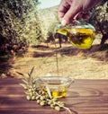 Bottle pouring cretan extra virgin olive oil in a bowl on wooden table at an olive tree field.