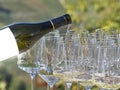 A bottle pouring wine into some glasses with the Langhe countryside in the background Royalty Free Stock Photo