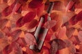 A bottle of red rose wine on an autumn background of red and orange leaves Royalty Free Stock Photo