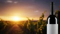 Bottle of red wine with a blank label against a vineyard sunset. Royalty Free Stock Photo