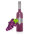 Bottle of red wine and bunch of grapes isolated on white background, Vector illustration in realistic style Royalty Free Stock Photo