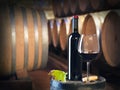 Bottle or red wine in a cellar Royalty Free Stock Photo
