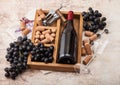 Bottle of red wine and empty glass with dark grapes with corks and opener inside vintage wooden box on light wooden background Royalty Free Stock Photo