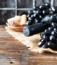 Bottle of red wine with fresh grape and bunch of corks on wooden table Royalty Free Stock Photo