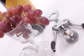 Bottle of red wine, and glass filled with grapes Royalty Free Stock Photo