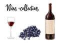 Bottle of red wine with a glass and grape cluster isolated on white background. Wine collection. Vector illustration. Royalty Free Stock Photo