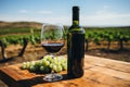 A bottle of red wine with a glass and grapes on a wooden table in a vineyard. Royalty Free Stock Photo