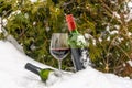 Bottle of red wine and glass of red wine in the snow Royalty Free Stock Photo