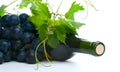 Bottle of red wine with grapeleaf Royalty Free Stock Photo