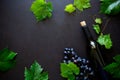 Bottle of red wine, grapes and leaves lying on dark wooden background. Royalty Free Stock Photo