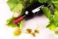 Bottle of red wine with green vine leaves Royalty Free Stock Photo