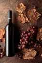 Bottle of red wine with ripe grapes and dried up vine leaves. Old copper background Royalty Free Stock Photo