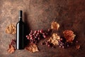 Bottle of red wine with ripe grapes and dried up vine leaves. Old copper background Royalty Free Stock Photo