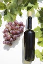 Bottle of red wine with ripe grapes and vine leaves on white background. Royalty Free Stock Photo