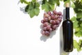 Bottle of red wine with ripe grapes and vine leaves on white background. Royalty Free Stock Photo