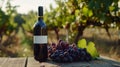 Bottle of red wine with ripe grapes on wooden table, AI Generative Royalty Free Stock Photo