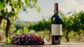 Bottle of red wine with ripe grapes on wooden table, AI Generative Royalty Free Stock Photo