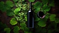 bottle red wine top view Royalty Free Stock Photo