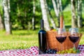 A bottle of red wine and two glasses for a couple Royalty Free Stock Photo