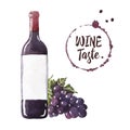 A bottle of red wine, vine branch and round wine stains. Watercolor hand drawn illustration