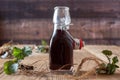 Bottle of red wine in which roots of young Geum urbanum plants have been macerated Royalty Free Stock Photo