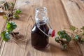 Bottle of red wine in which roots of young Geum urbanum plants have been macerated Royalty Free Stock Photo