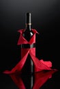 Bottle of red wine wrapped in crepe paper Royalty Free Stock Photo