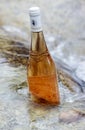 Bottle of ros wine in the sea Royalty Free Stock Photo